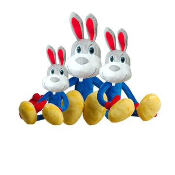 Call Me Floppy BunnyHead! Bouncy spirit brings boundless joy at playtime - Group